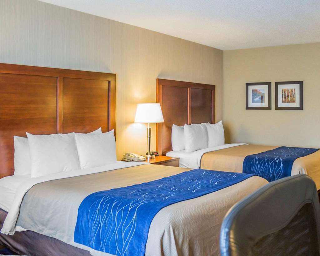 Comfort Inn Iron Mountain Room photo
